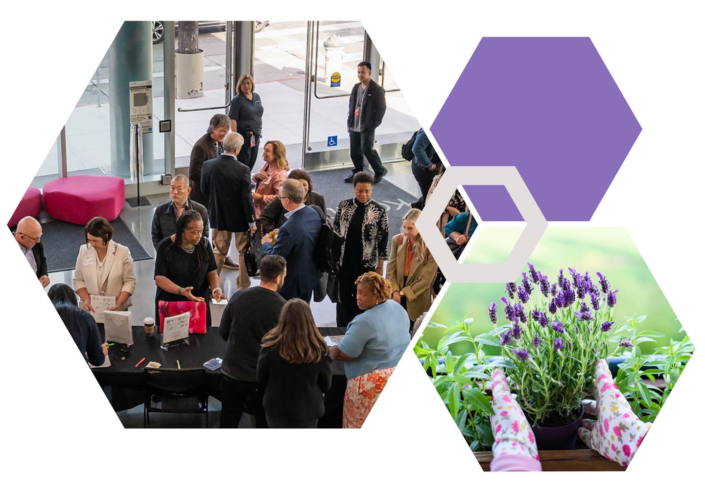 Hexagon image collage featuring an image of organizers working  and an image of a wheelchair wheel.