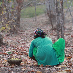 Beyond the Pandemic: The Struggles of Chhattisgarh’s Adivasis