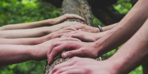 Hands touching a tree branch in a forest setting.